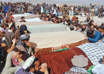 15 هجومًا باكستانيًا على أفغانستان خلال نحو عام.. مقتل 364 مدنيًا