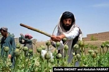 تدمير 3 مصانع للمخدرات وإتلاف آلاف الكيلوغرامات من المواد الأولية