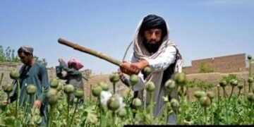تدمير 3 مصانع للمخدرات وإتلاف آلاف الكيلوغرامات من المواد الأولية