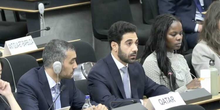 ‏دولة قطر تؤكد التزامها بدورها شريكا دوليا فاعلا في أفغانستان