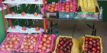 نقص مخازن التبريد في أفغانستان يفاقم خسائر المزارعين والتجار