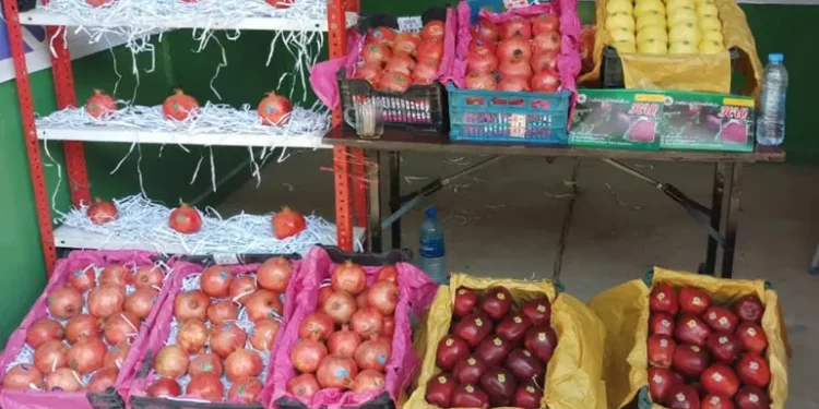 نقص مخازن التبريد في أفغانستان يفاقم خسائر المزارعين والتجار