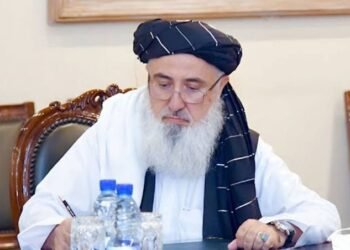 وزير الاقتصاد الأفغاني يدعو أوروبا إلى تخفيف القيود وفتح آفاق الاستثمار