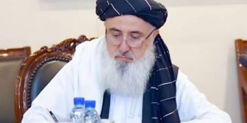 وزير الاقتصاد الأفغاني يدعو أوروبا إلى تخفيف القيود وفتح آفاق الاستثمار