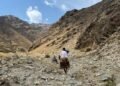 زمرد بنجشير يجذب المشترين العالميين.. وعماله يواجهون المخاطر بأدوات بدائية