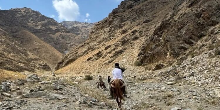 زمرد بنجشير يجذب المشترين العالميين.. وعماله يواجهون المخاطر بأدوات بدائية