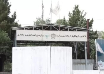 إنتاج القمح في أفغانستان يرتفع 13.4% والعجز يقترب من مليوني طن